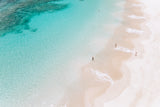 Ned's Beach, Lord Howe Island | Print