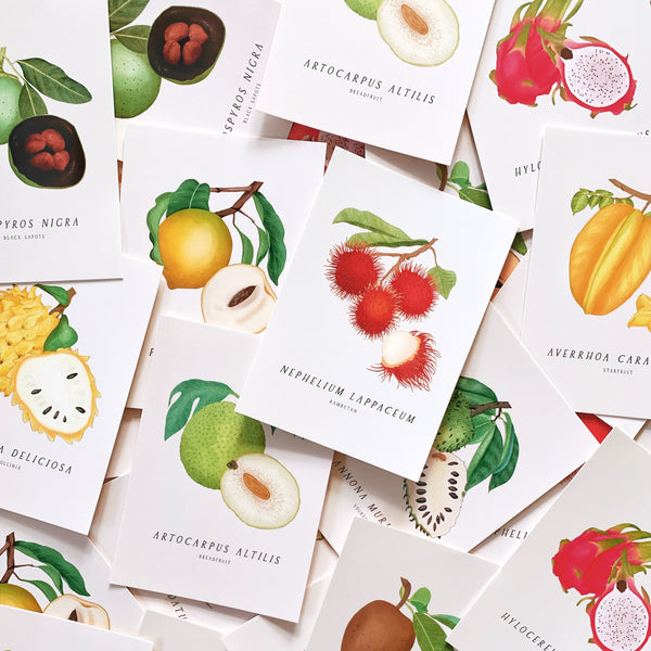 Tropical Fruit Postcards - Set of 10